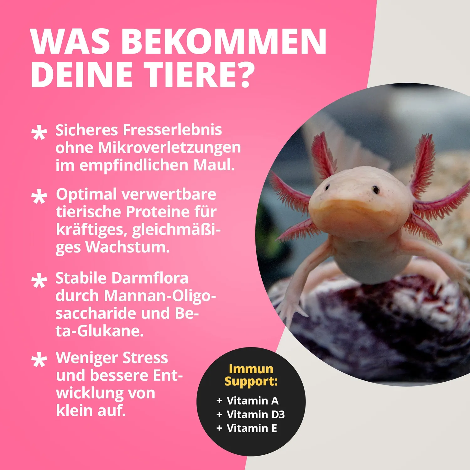 NatureHolic Axolotl Babyfeed Jungtier Softfutter Protein