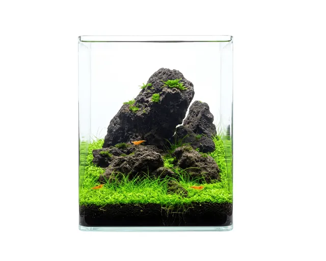 NatureHolic Classic Cube Aquarium 12L Floatglas Abdeckscheibe