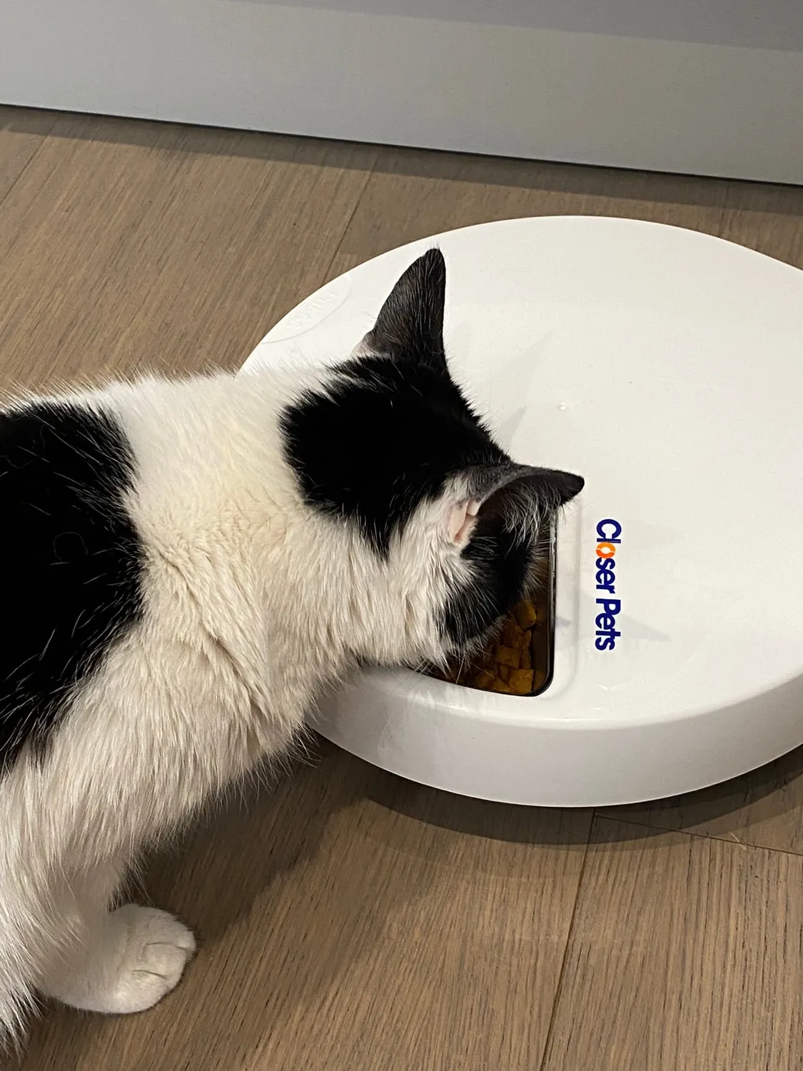 Closer Pets Cat Mate C500 Edelstahlnäpfe 5er-Pack Ersatz