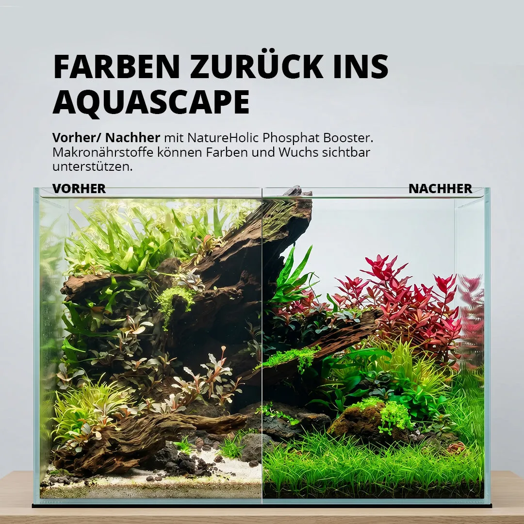 NatureHolic P Booster Phosphat Aquariumdünger flüssig Mangel