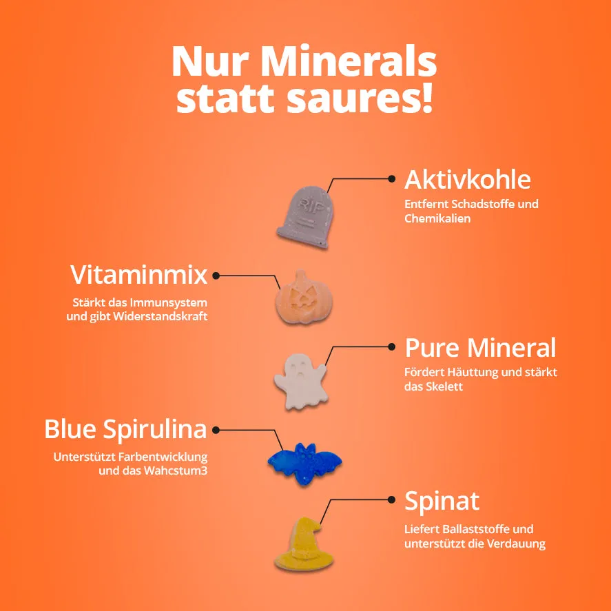 NatureHolic Spooky Minerals Garnelen Mineralfutter 30g Halloween