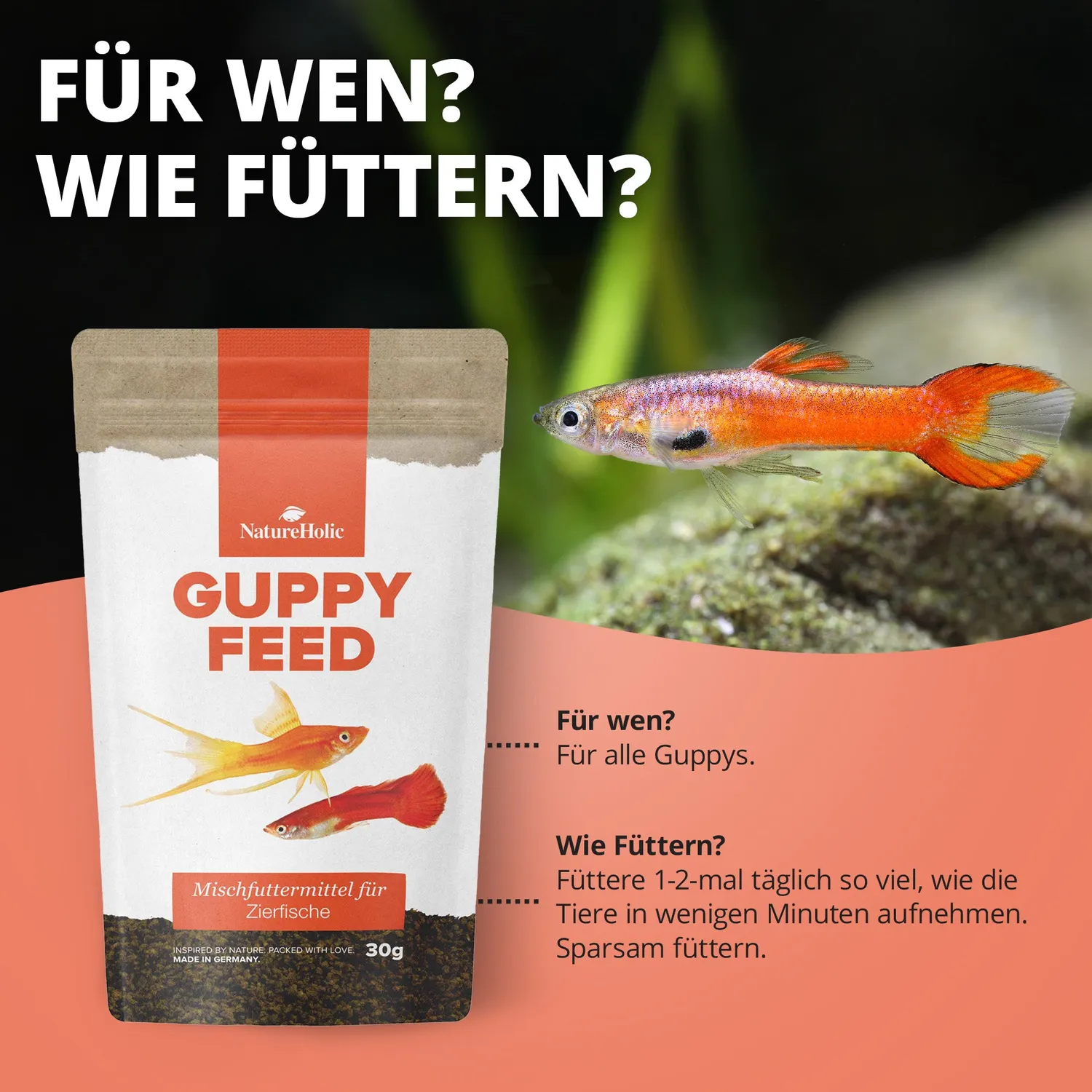 NatureHolic Guppyfeed Guppyfutter 30 g 0,5 mm Softgranulat