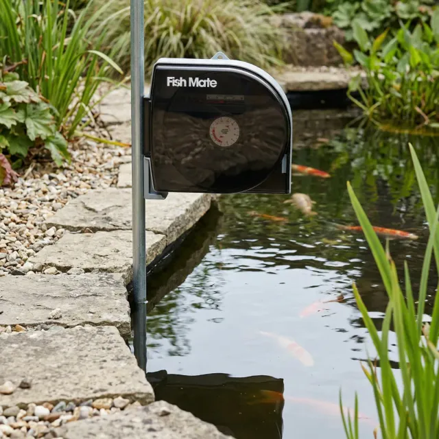 Closer Pets Fish Mate P21 Futterautomat Teich 21 Tage Sticks