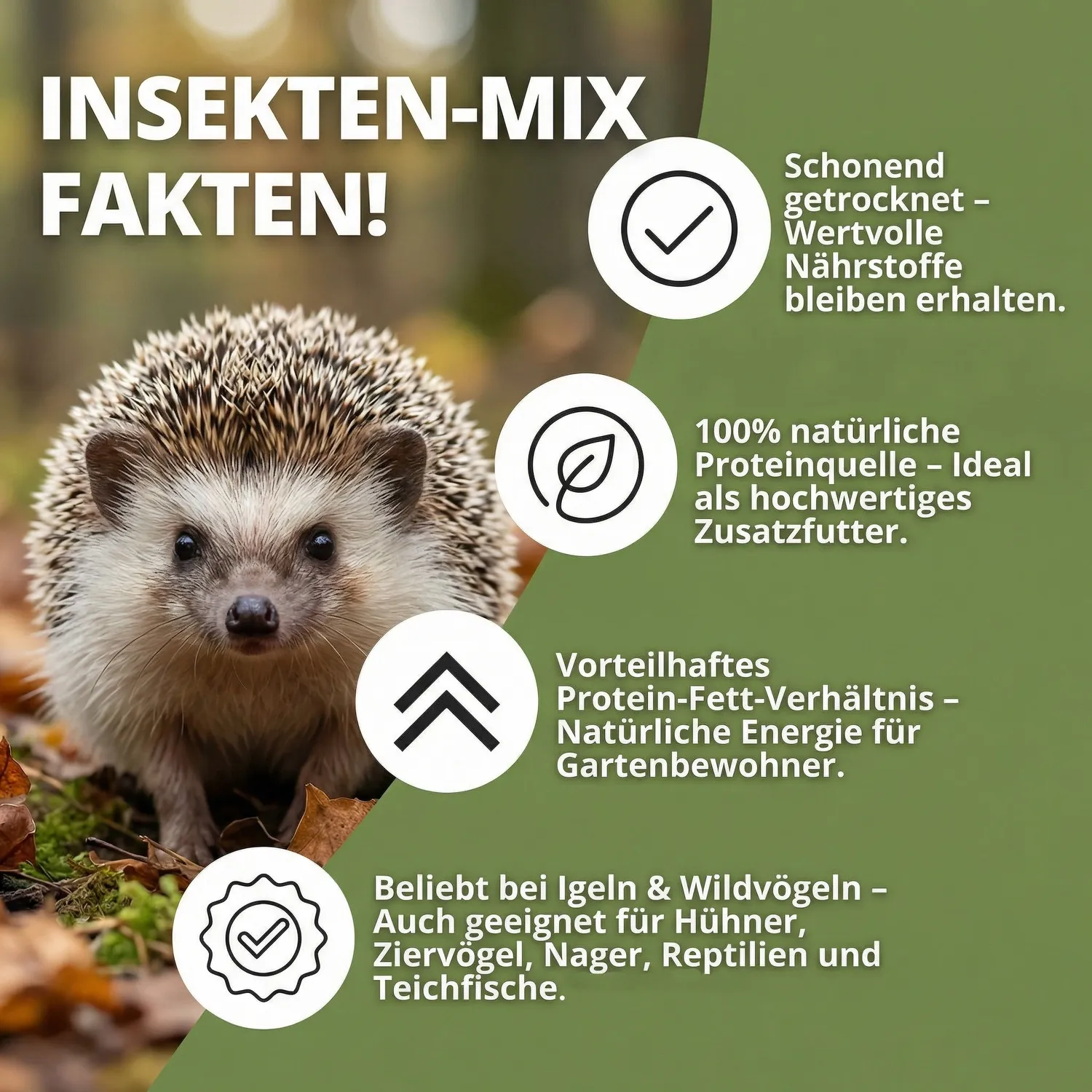 NatureHolic Mehlwürmer Soldatenfliegen Mix Teichfutter 3 Liter proteinreich