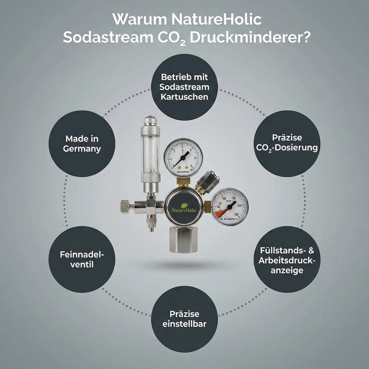 NatureHolic CO2 Anlage Komplett Set SodaStream