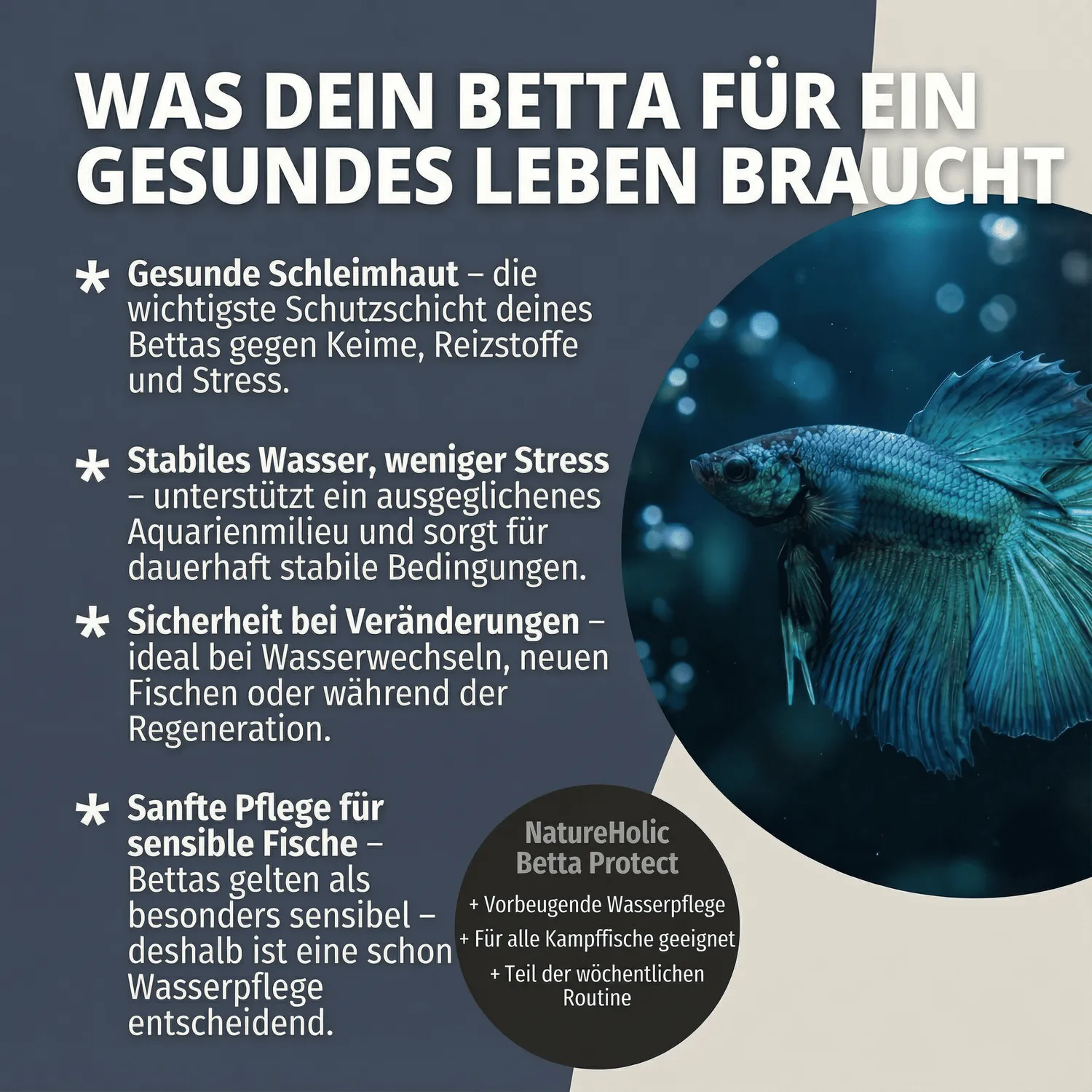 NatureHolic Betta Protect Wasseraufbereiter 125ml Aloe Vera