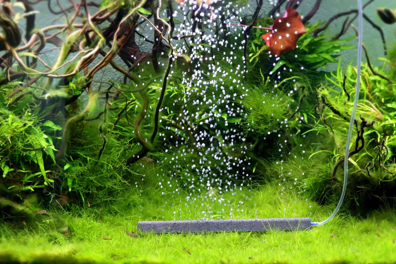 NatureHolic Bubble Bar Ausströmerstein 300mm Aquarium