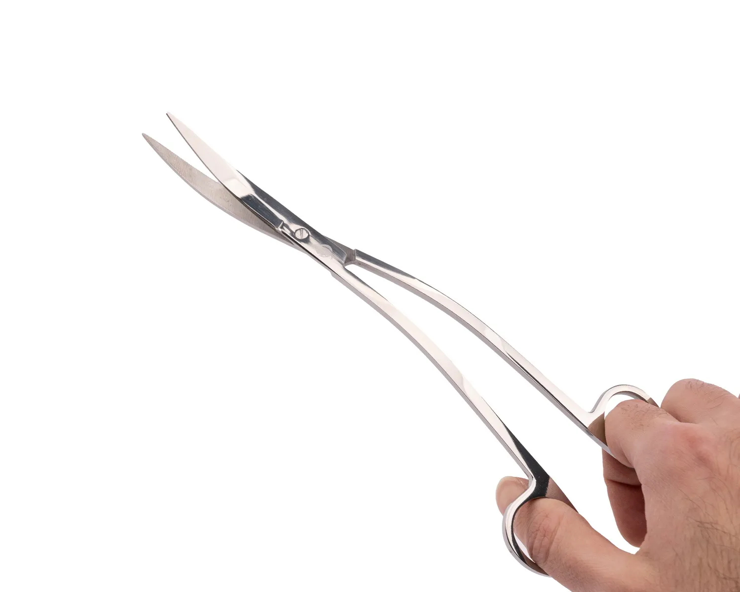 NatureHolic Scaping Scissors Wave Pflanzenschere 25cm silber
