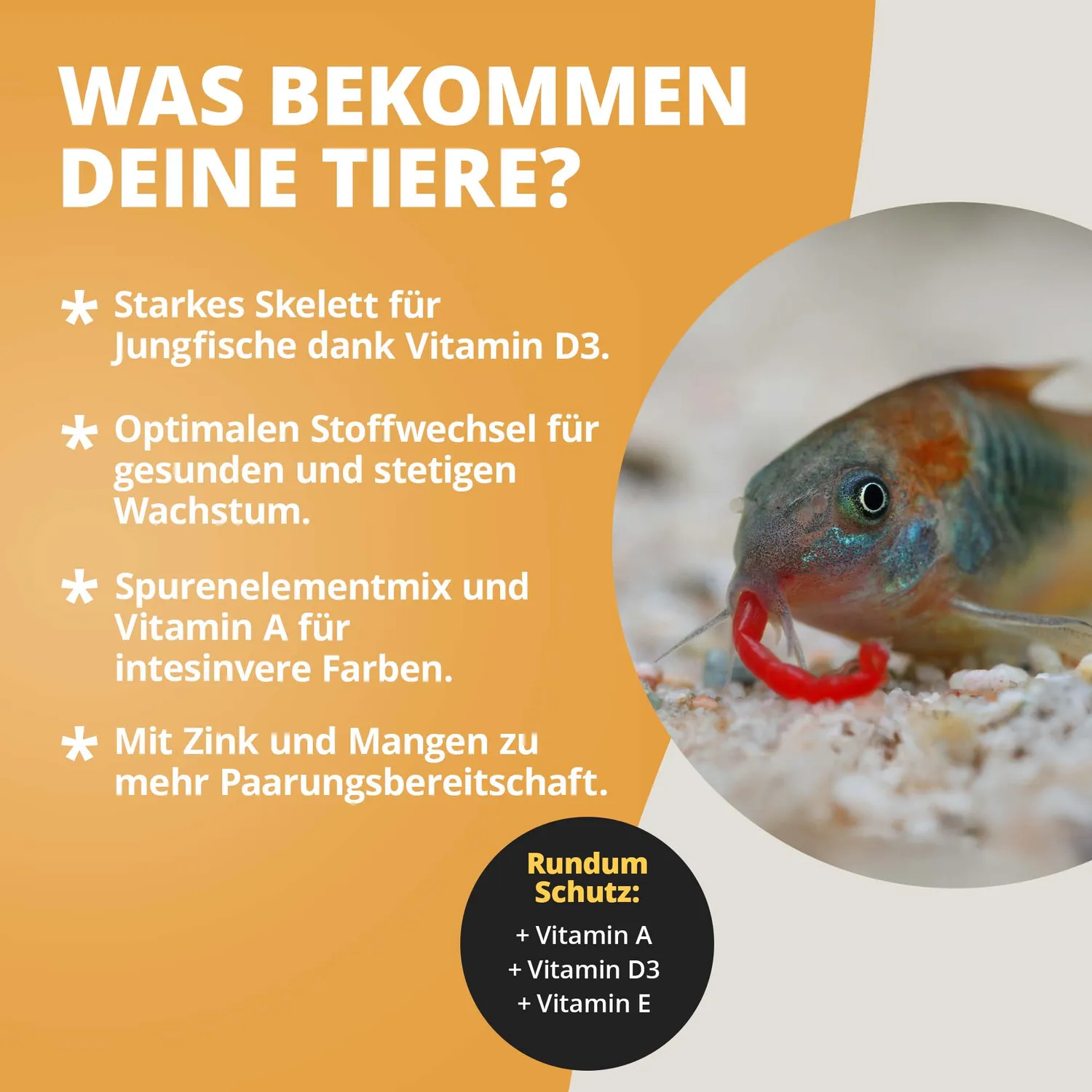 NatureHolic Vita Drops Fish Fischfutter-Zusatz 30ml Vitamine