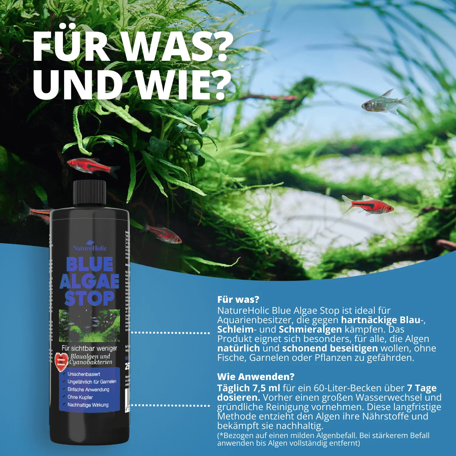 NatureHolic Blue Algae Stop Blaualgenentferner 250 ml