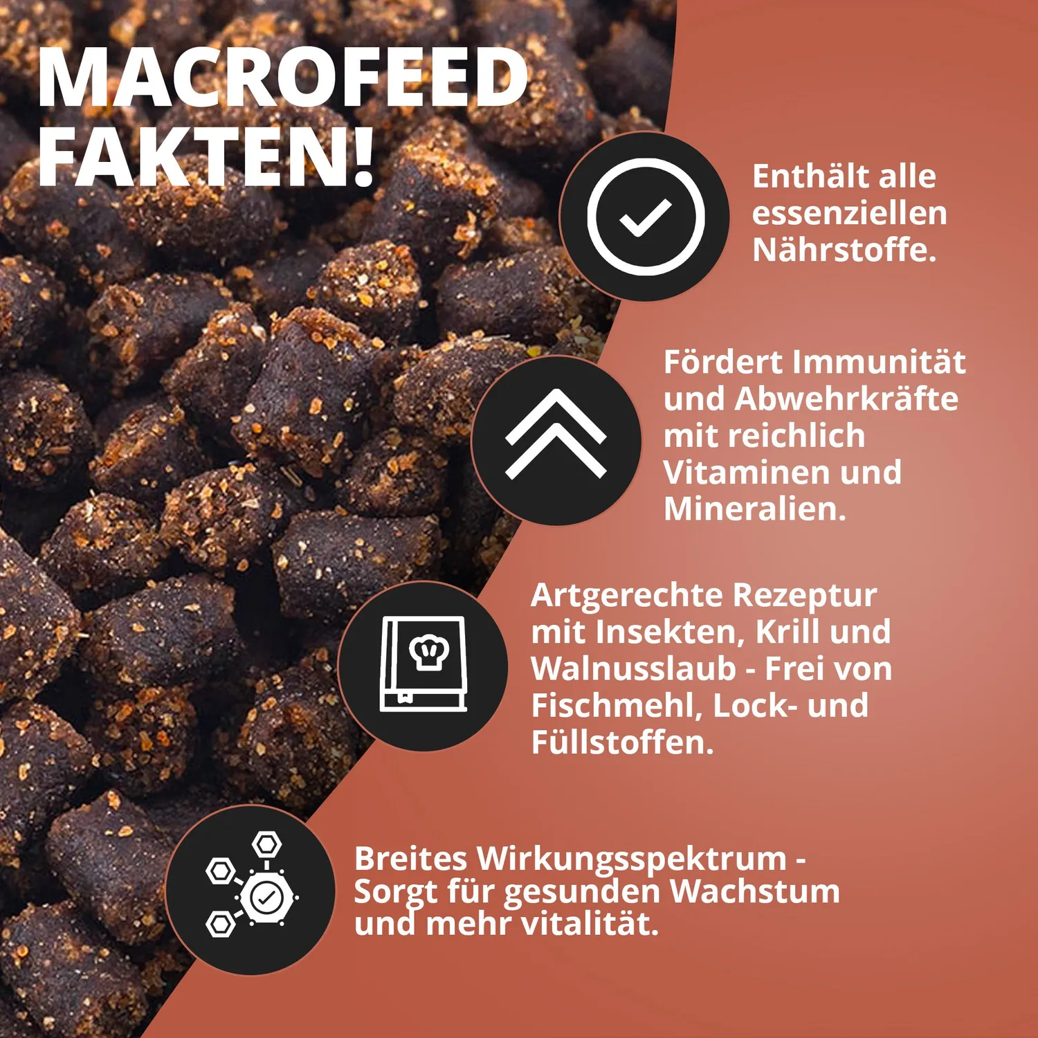 NatureHolic Macrofeed Großarmgarnelenfutter 30g