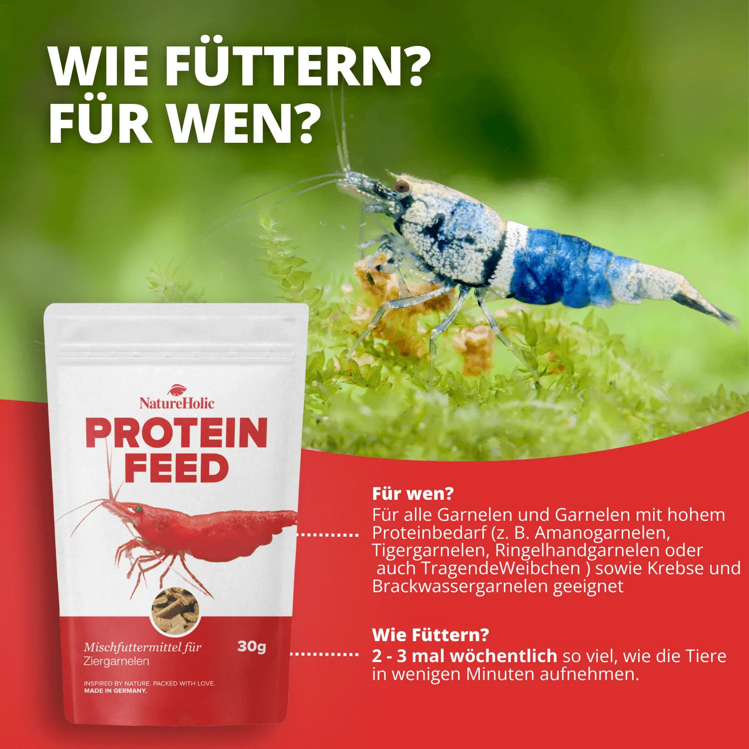 NatureHolic Proteinfeed Garnelenfutter Probe Protein 30g Insekten