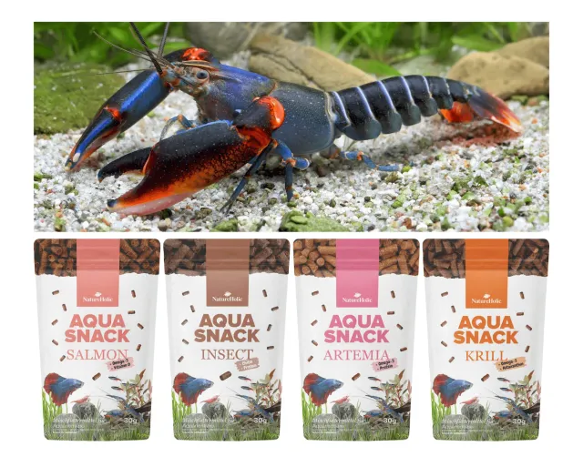 NatureHolic Snackbundle Flusskrebsfutter Insect Krill Artemia Salmon