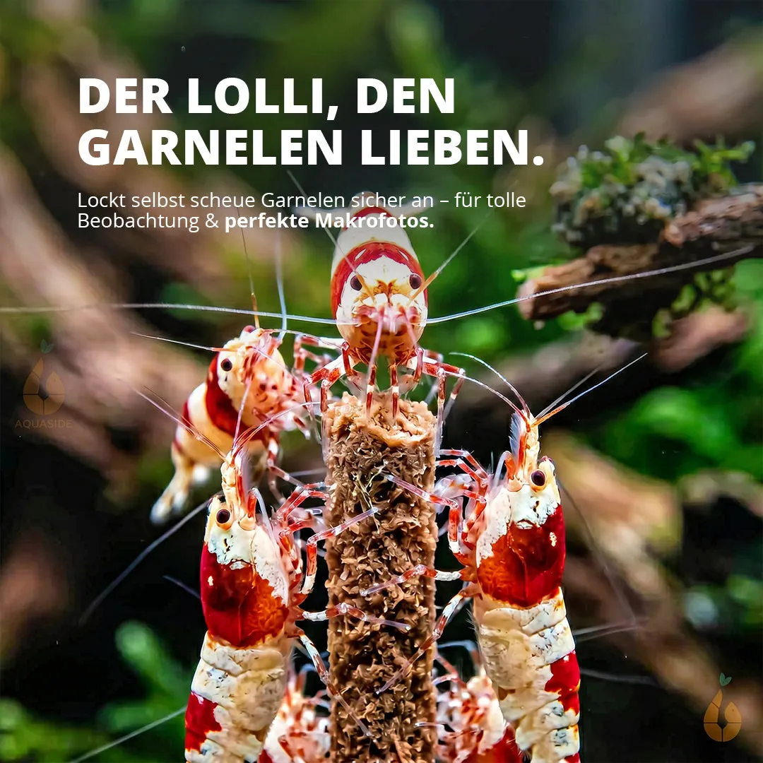 NatureHolic Walnut Boost Garnelen Lollies 5 Stück Walnuss
