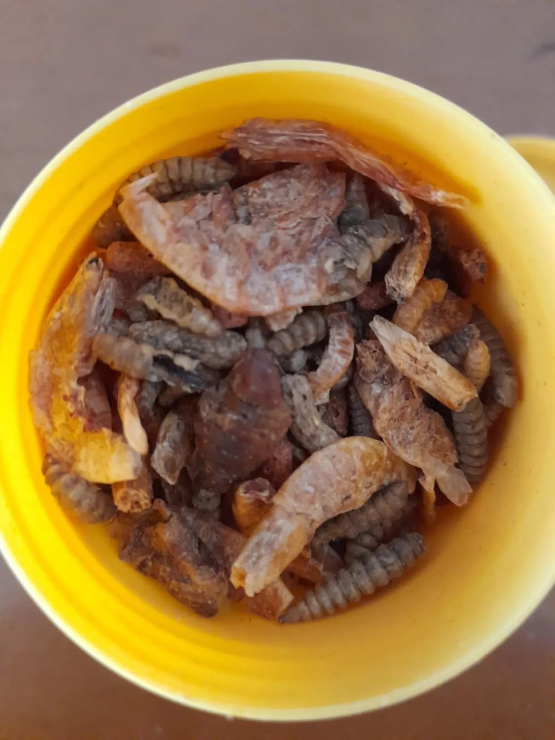 AQUARIS Repti Mix Schildkrötenfutter 55 g mit Gammarus