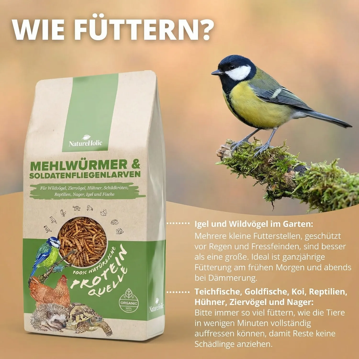 NatureHolic Mehlwürmer Soldatenfliegen Mix Teichfutter 3 Liter proteinreich