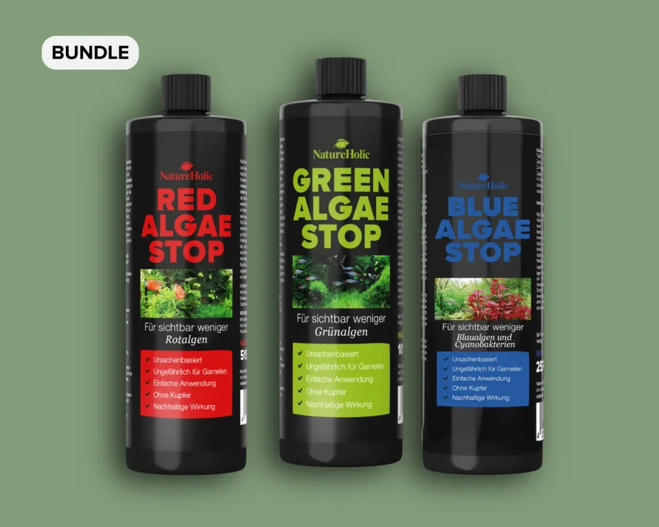 NatureHolic Algen Sorglospaket Aquarium Algenmittel 3er-Set