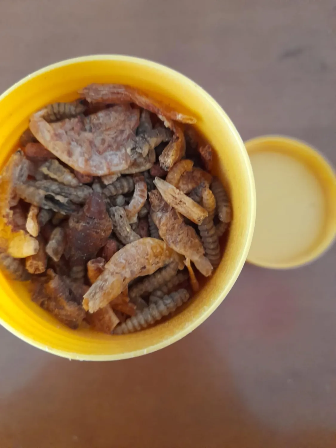 AQUARIS Repti Mix Schildkrötenfutter 55 g mit Gammarus
