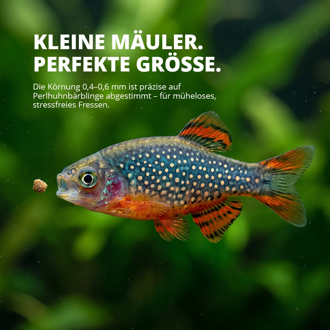 NatureHolic DanioFeed Fischfutter 30 g Farbfutter