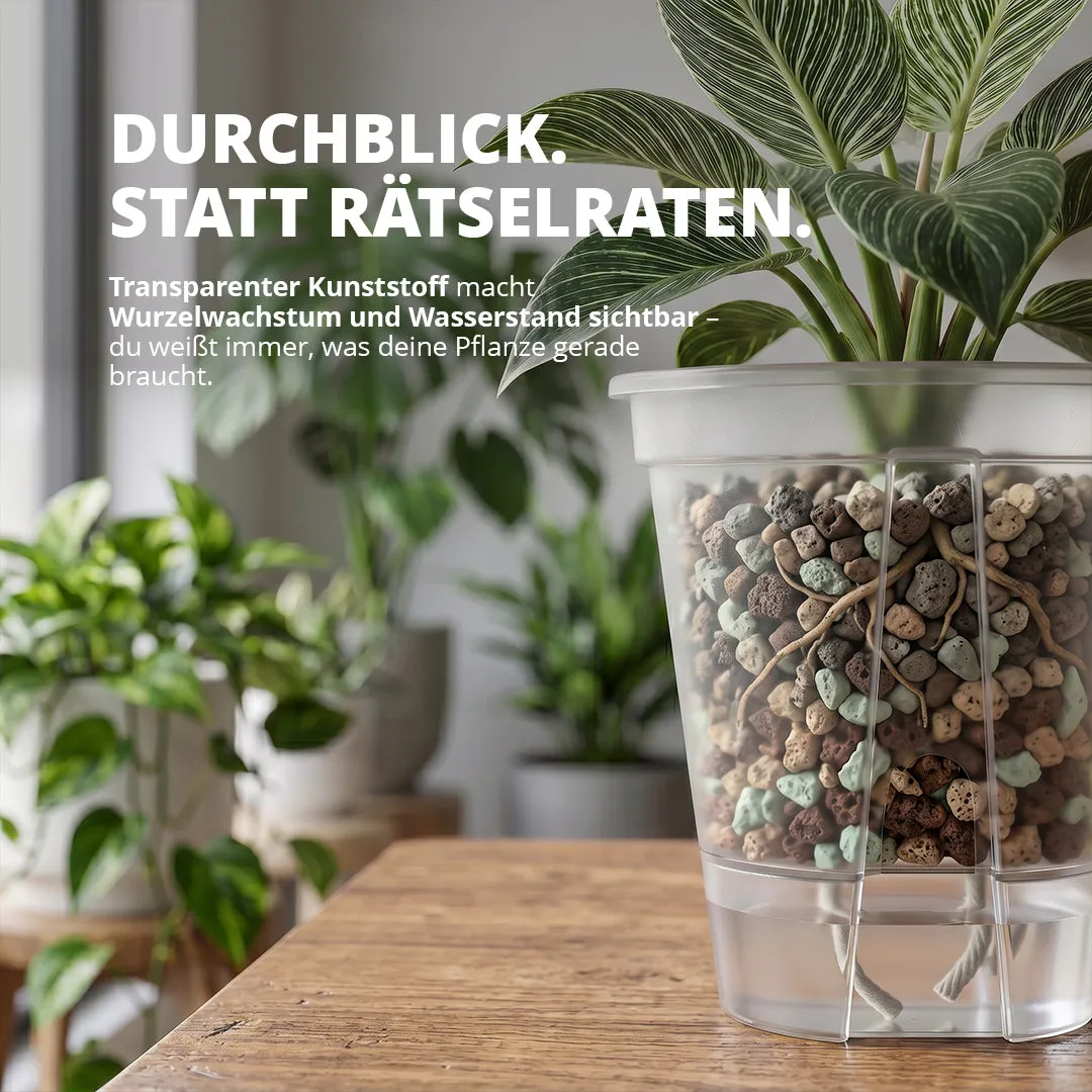 NatureHolic Junglepot Selbstbewässerungstopf 15x15,5 cm mit Docht