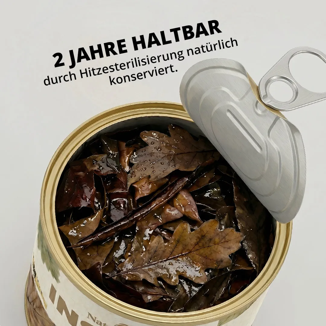 NatureHolic Instant Laub Aquarium-Laub 100g sterilisiert