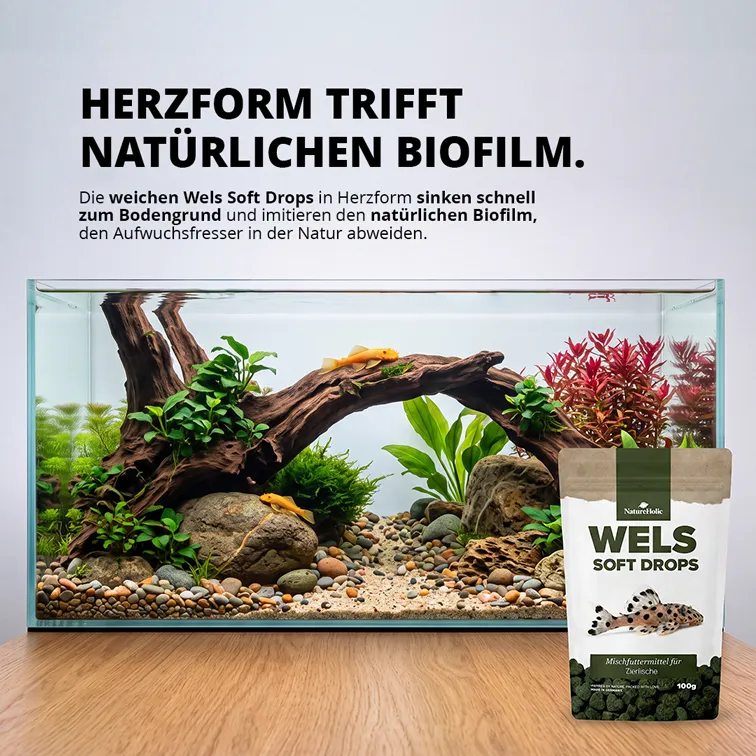 NatureHolic Wels Soft Drops Welsfutter 100g Insektenprotein