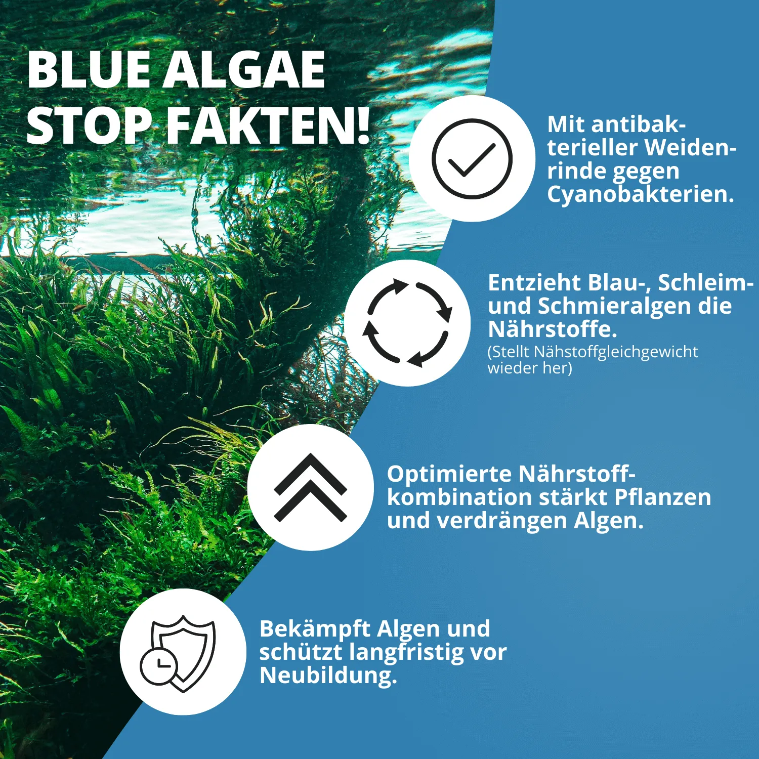 NatureHolic Blue Algae Stop Blaualgenentferner 250 ml
