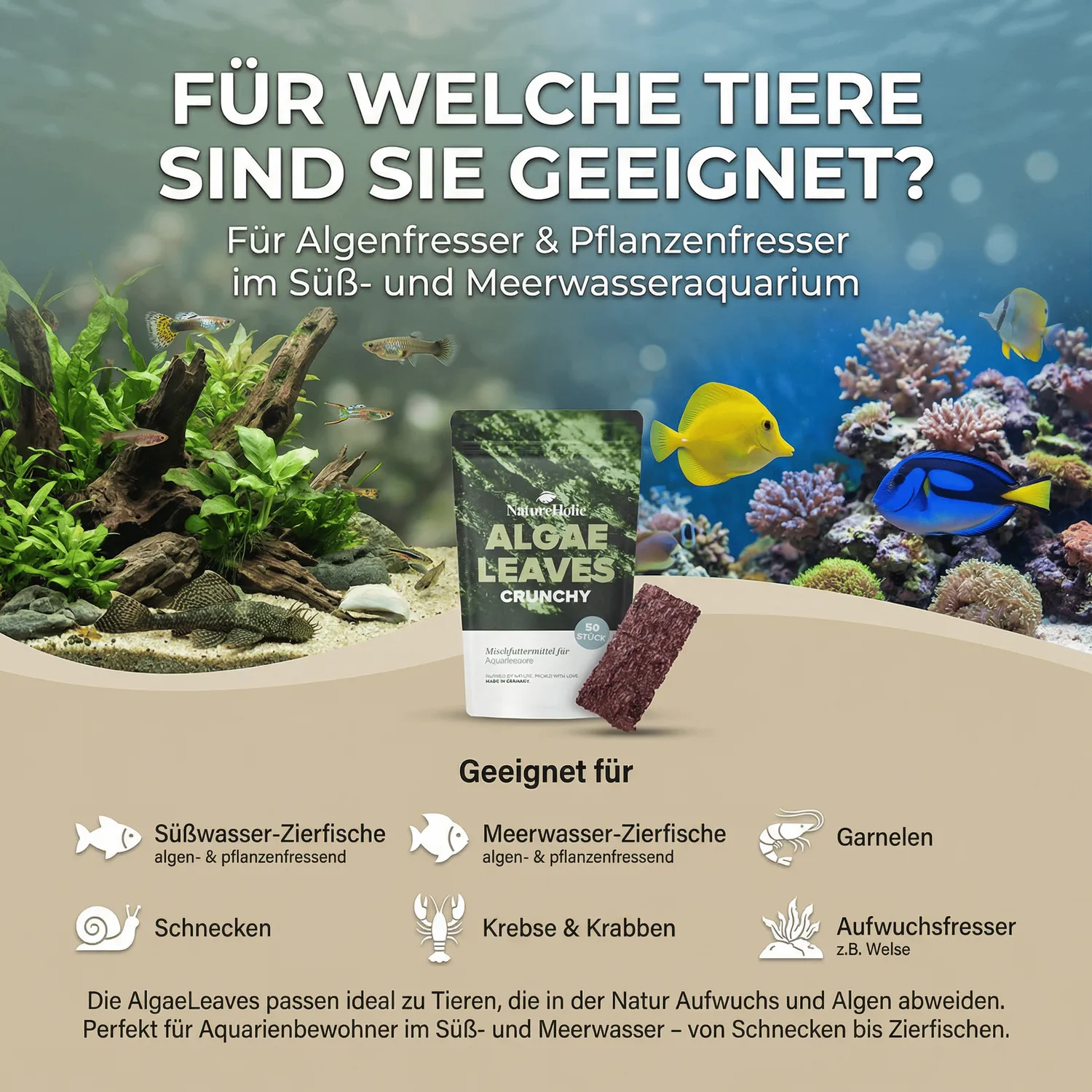 NatureHolic AlgaeLeaves Algenblätter 50 Stück Jod