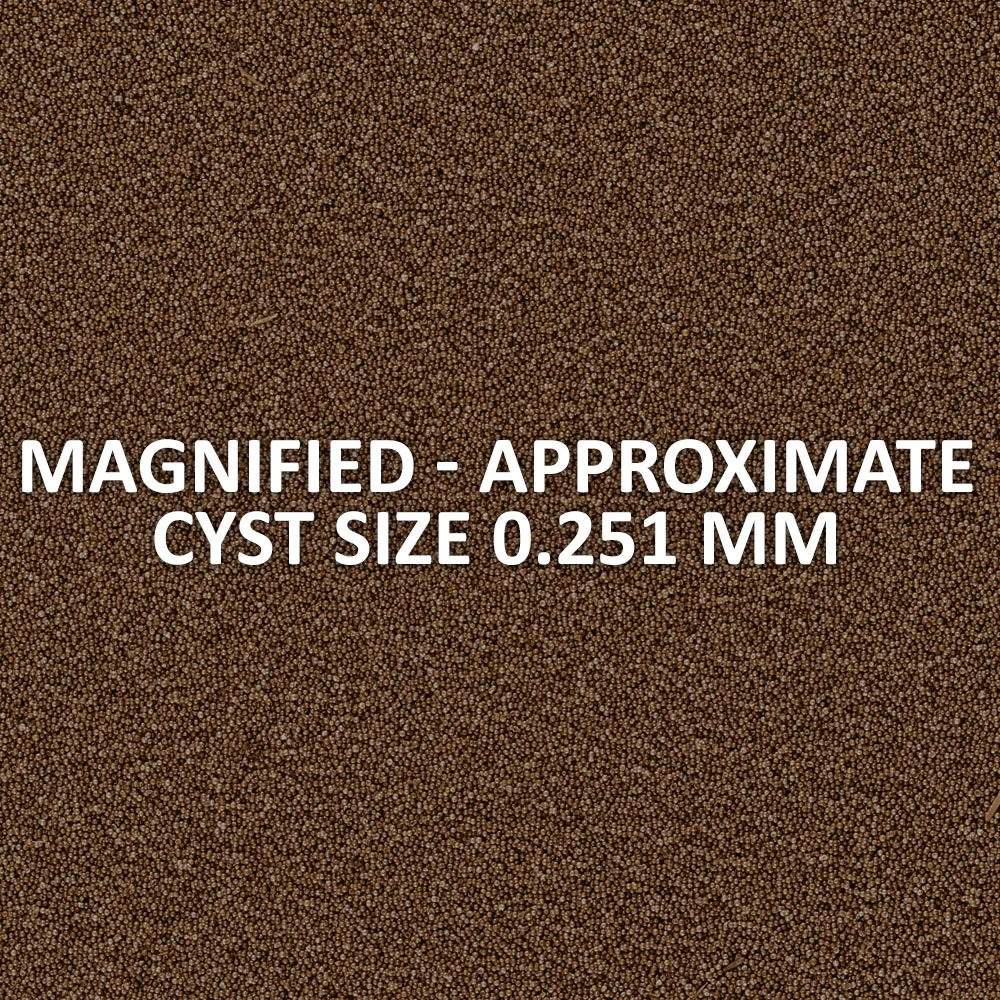 Ocean Nutrition Sep-Art Artemia Cysts Artemiaeier magnetisch