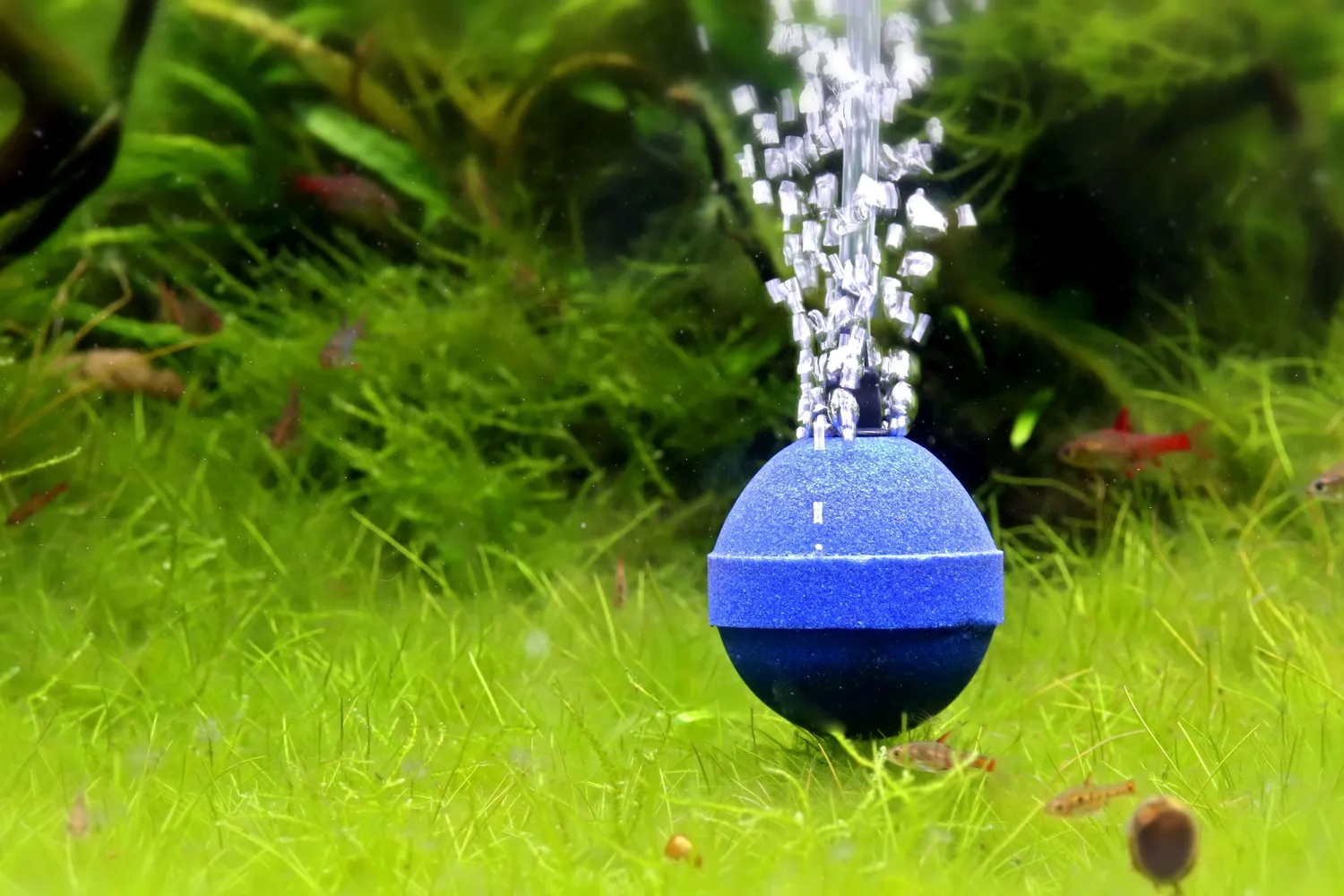 NatureHolic Bubble Ball Ausströmerstein 10er-Set 5 cm blau